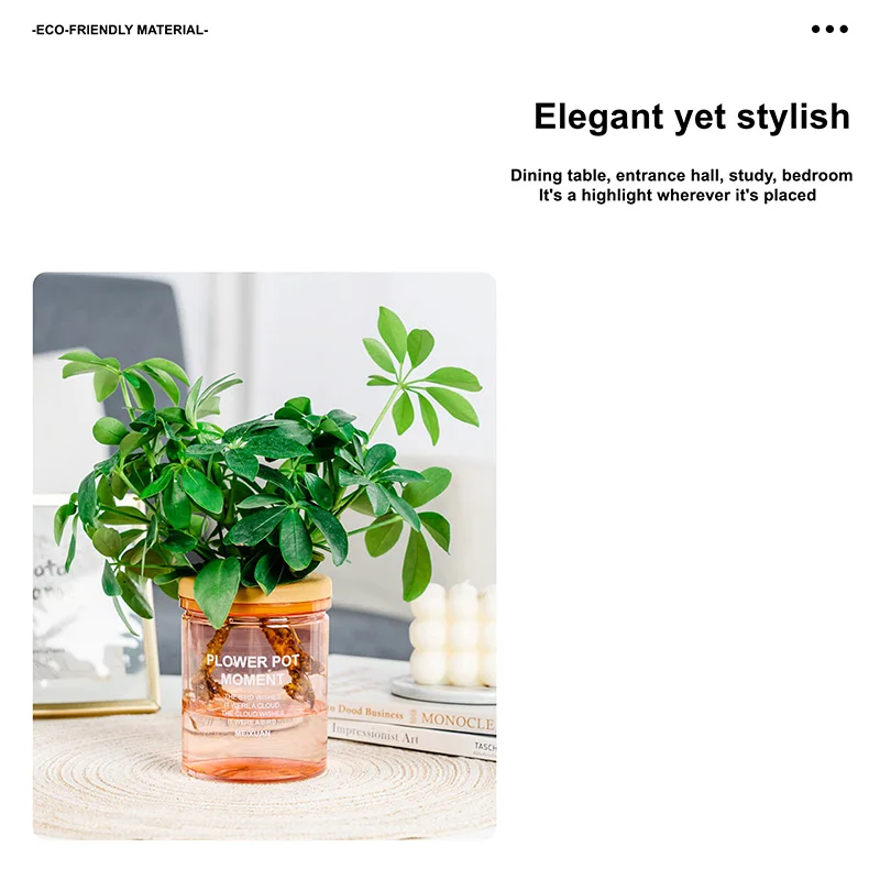 

Water Plant Pot Plastic Transparent Hydroponic Small Pots for Plants Flowerpot Soilless Gardening Planter Vases Home Decor