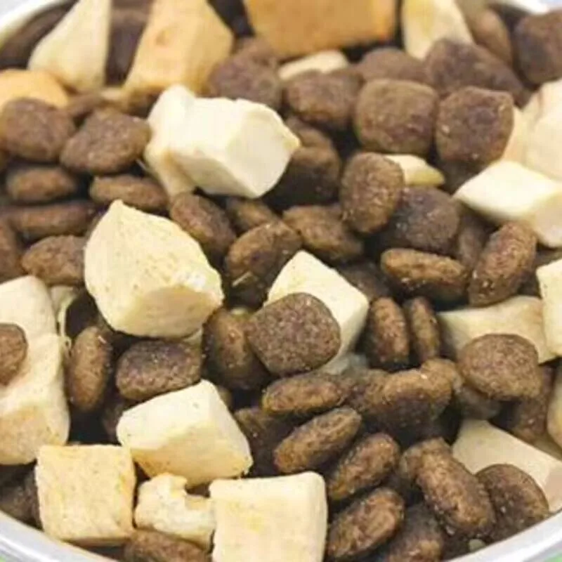 Freeze Dryer Dried Food Vacuum Mini Fruit And Vegetable Household Price