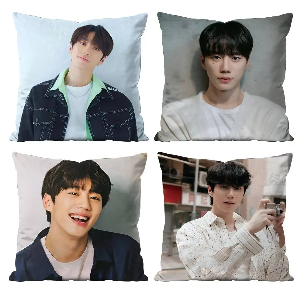 Hot Singer Lee J-Jun Young Pillow Case Anti-dustmite Pillowcase Invisible Zipper Silky Short Plush Sofa Cushion Cover