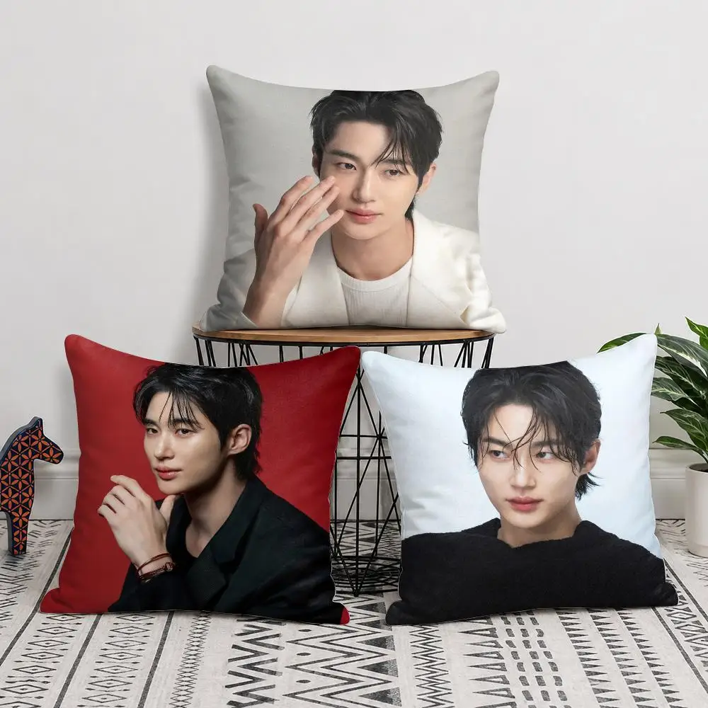 B-Byeon Woo-seok Idol Cushion Cover Silky Short Plush Invisible Zipper Dustproof Sofa Pillow Case For Home Decor
