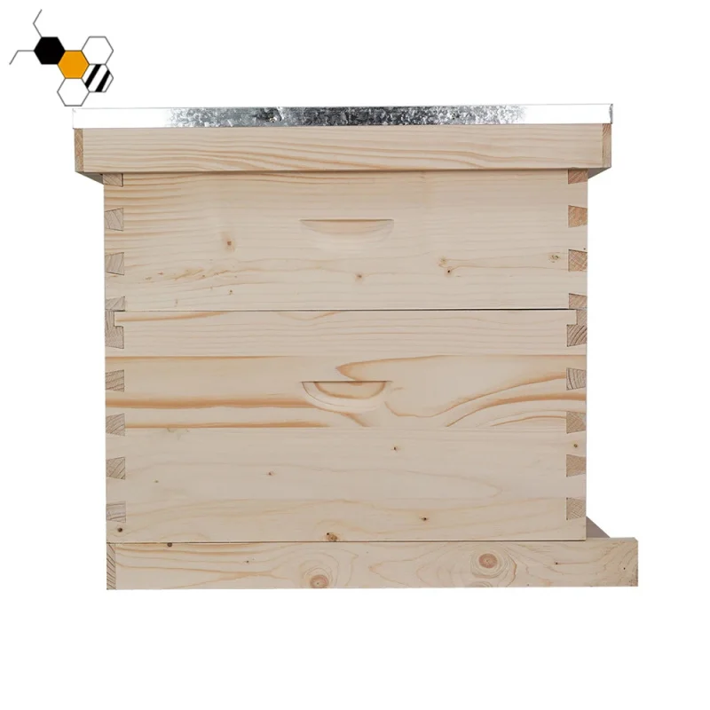 Beekeeping Equipment Natural Wooden 2 Tier Honey Hive Langstroth Beehive Box With 20 Pieces Bee Frame