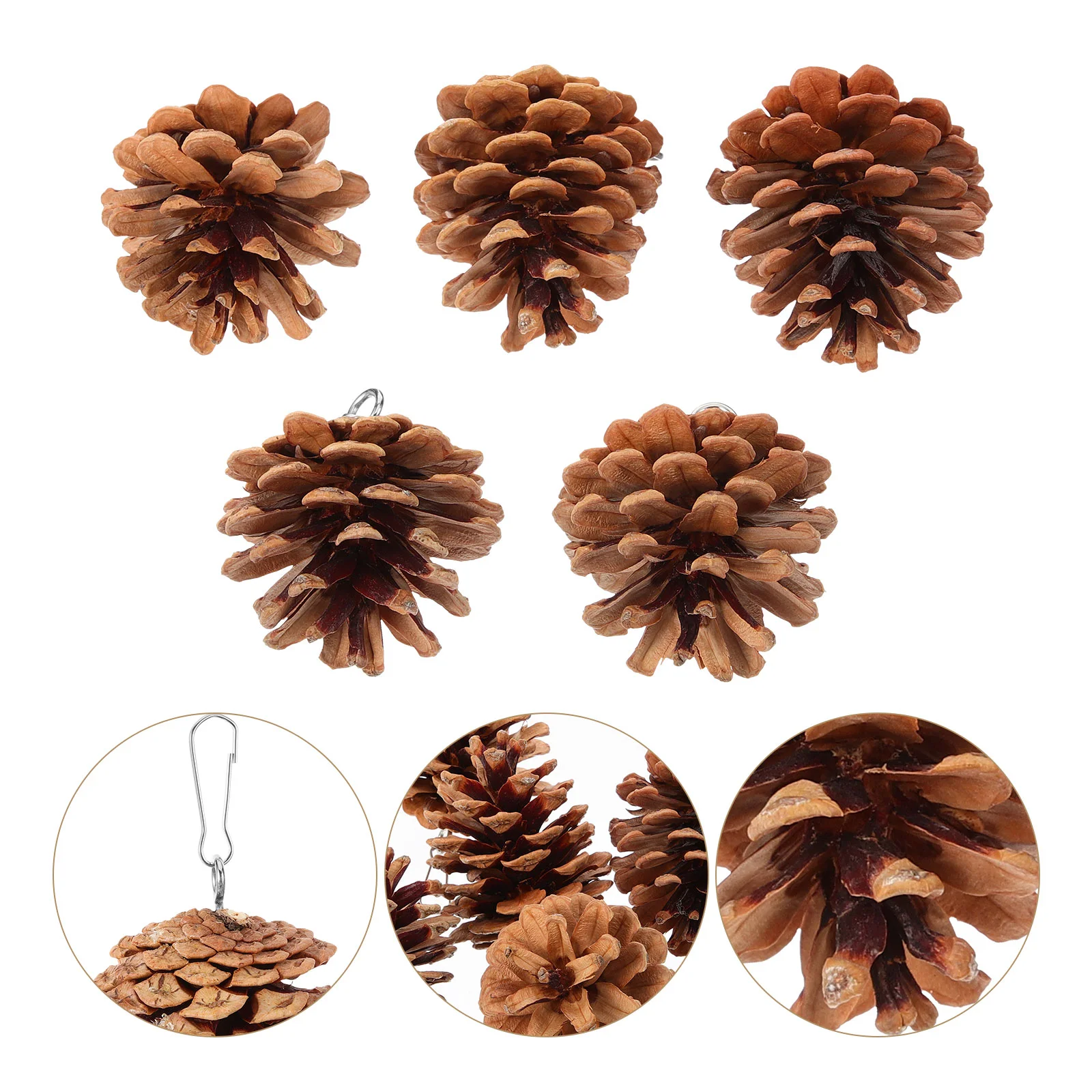 

10 Pcs Parrot Chewing Toy Large Bird Lovely Toys Cage Suspending Parakeet Biting Natural Long Tail Pine Cone