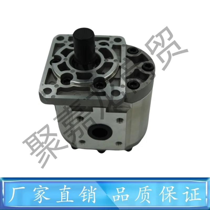 Hefei Changyuan Gear Pump CBN-F532/F520/F540/F50/F63/- BFP/BFPL/BFH/BFH