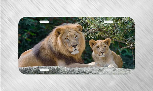 New Lion Leon Father Cub Safari Africa License Plate Auto Car Tag FREE SHIP Aluminum