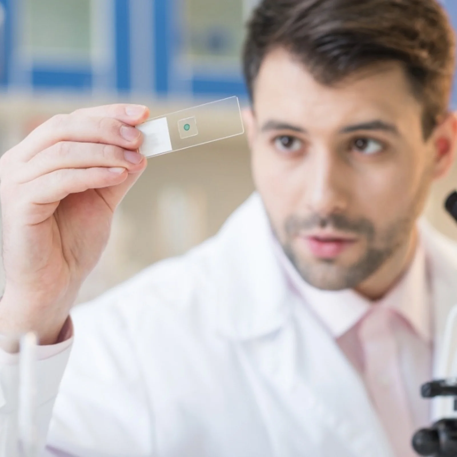 

Prepared Microscope Slide Biology Class Prop Bioexperiment Biological Education Props