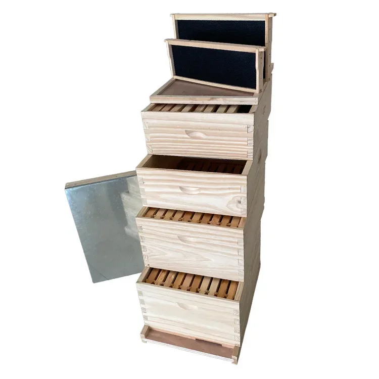 Beekeeping Equipment National Beehive Suppliers Insulated Wooden Beehive Box Langstroth Beehive With 4 Boxes