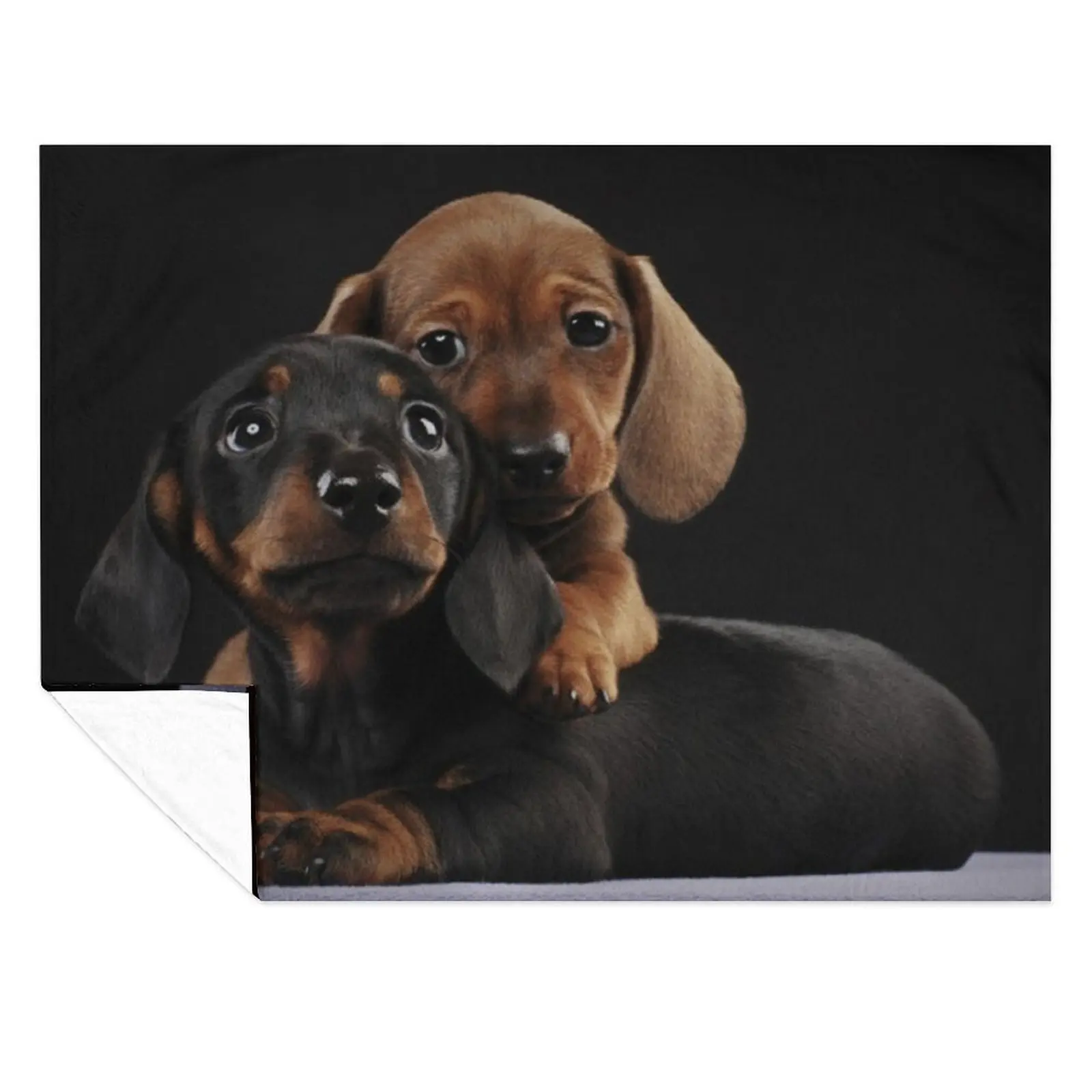 

Dachshund Dog portrait photo pupies Throw Blanket Luxury Thicken Retros for babies Blankets