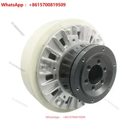 Taiwan Lixun Air Shaft Internal Rotation Magnetic Powder Clutch Brake PCO  Lanling Wei Political Research New