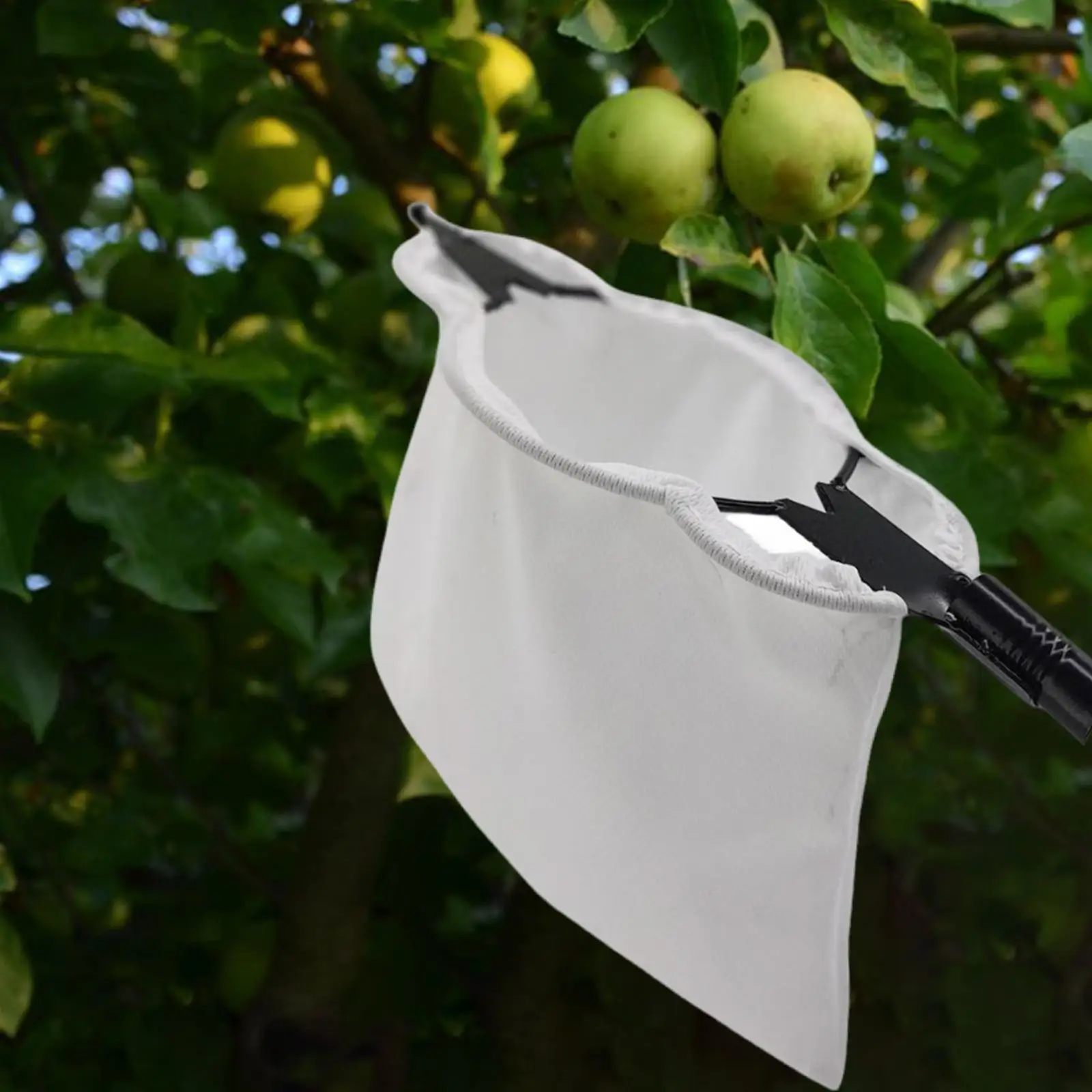 Fruit Picker Fruit Picking Equipment Lightweight Tree Picker Portable Fruit Grabber Basket Fruit Picking Harvester for Mango