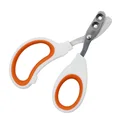 Orange-B
