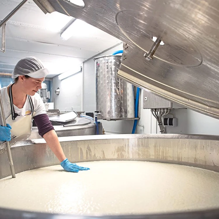 Línea de producción de queso Feta para queso