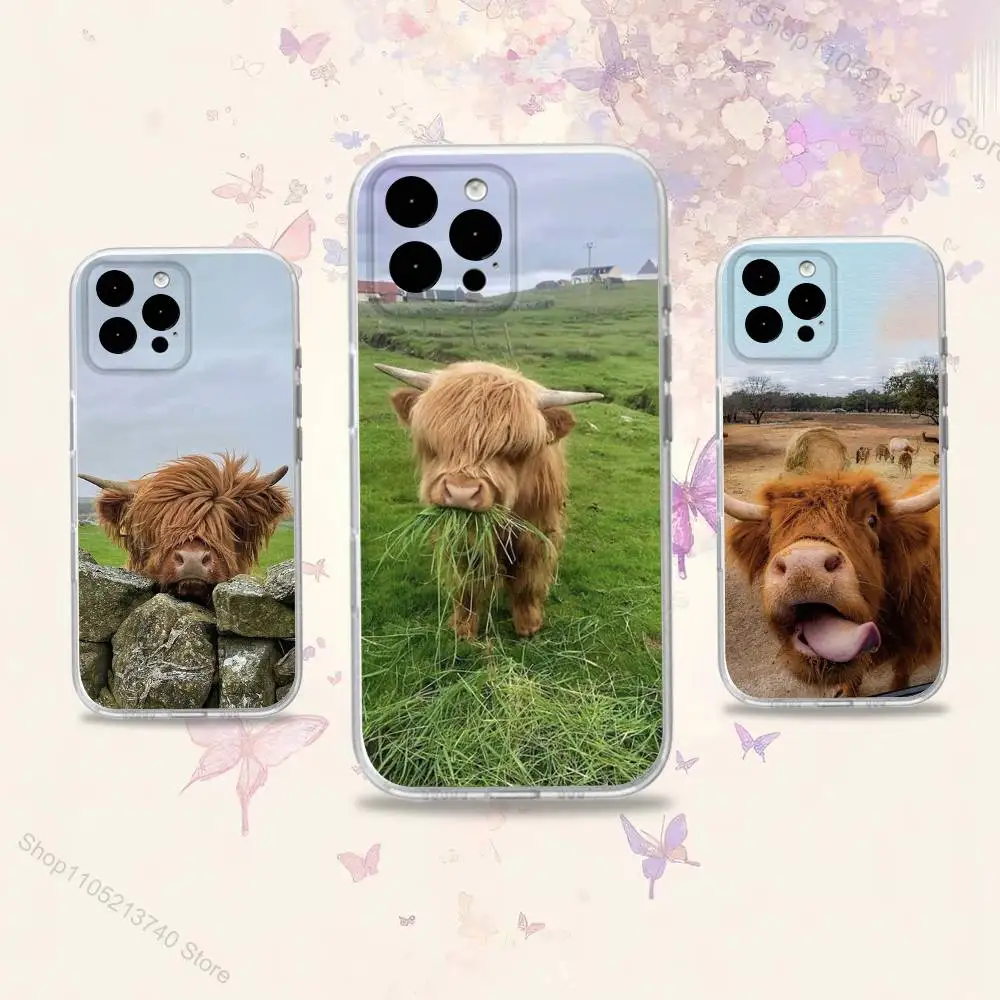 C-Cow FurryS H-HighlandS Handyhülle für iPhone 11,12,15,16,17,13,14,Pro,Max,Plus,E,Mini,Air,SE4 Weiche TPU-Rückseite mit transparenter Rückseite