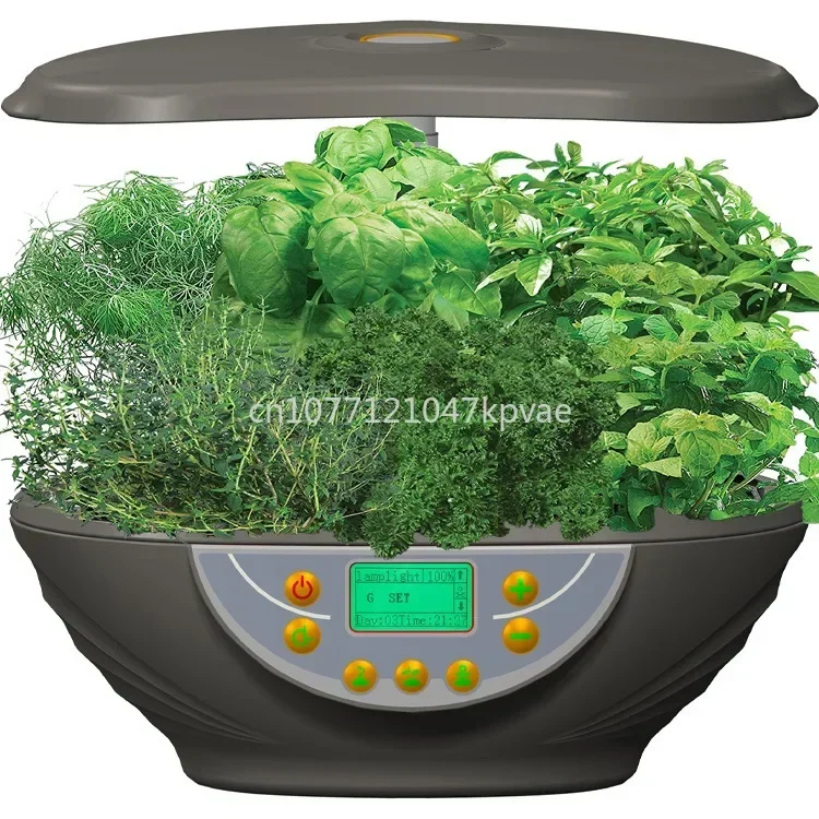 Indoor Intelligent Planter, Soilless Hydroponic Planter, Indoor Vegetable Planter, Hydroponic, Modern Household