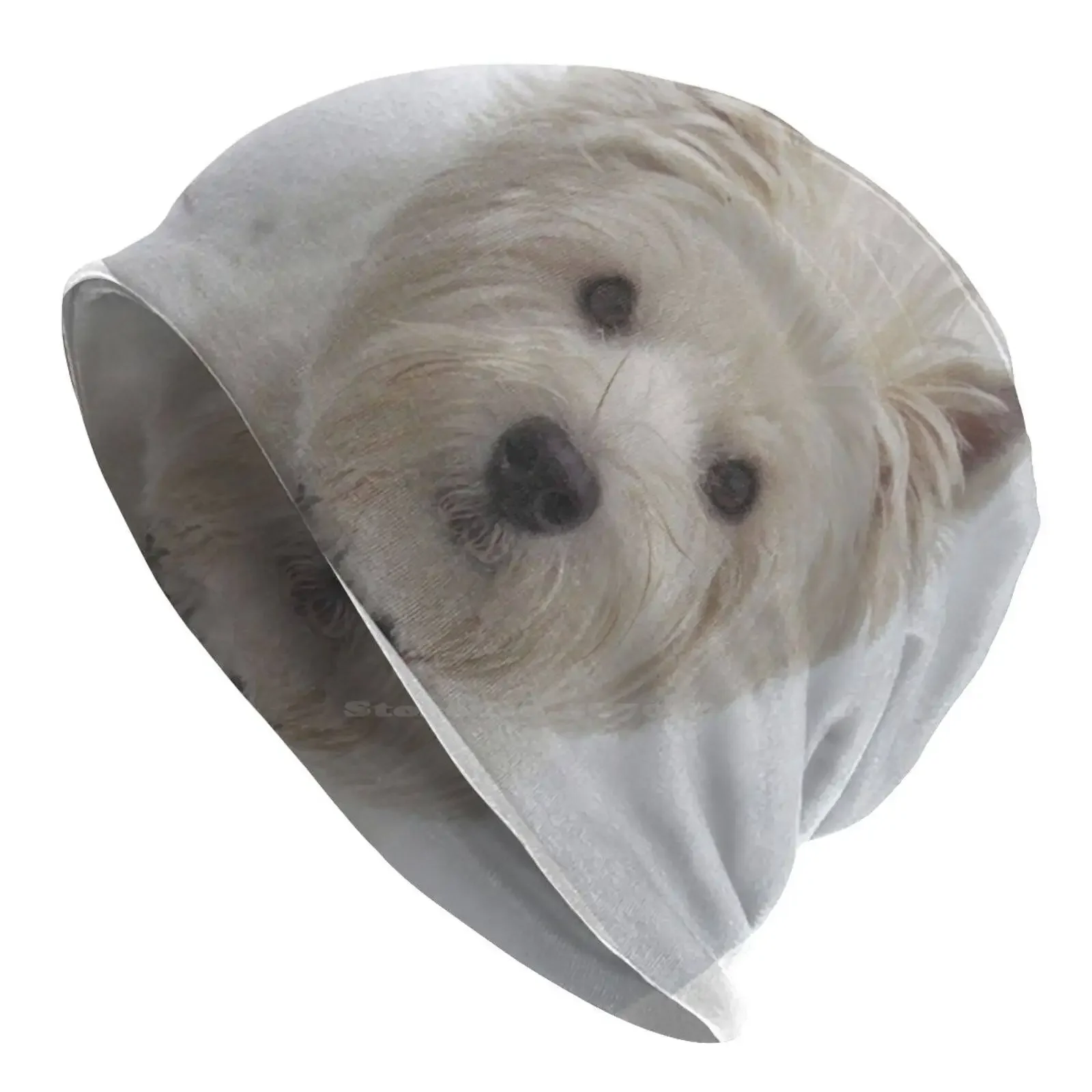 Westie-gorro de punto blanco cálido para exteriores, gorros para Perros West Highland, White Terrier, Westie, CNET, Animal para mascotas, Escocia