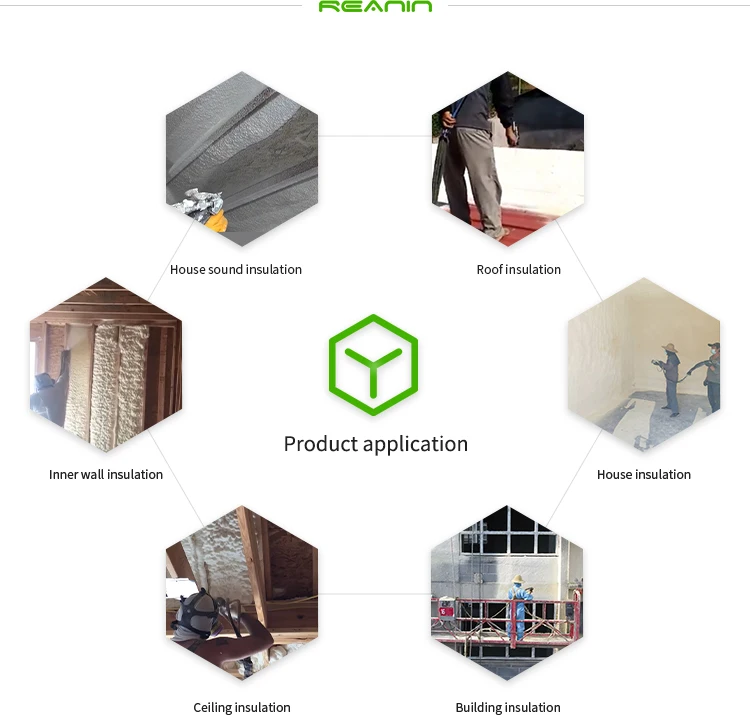 Reanin-K2000 Portable Two-component Pneumatic Polyurethane House Insulation Spray Machine