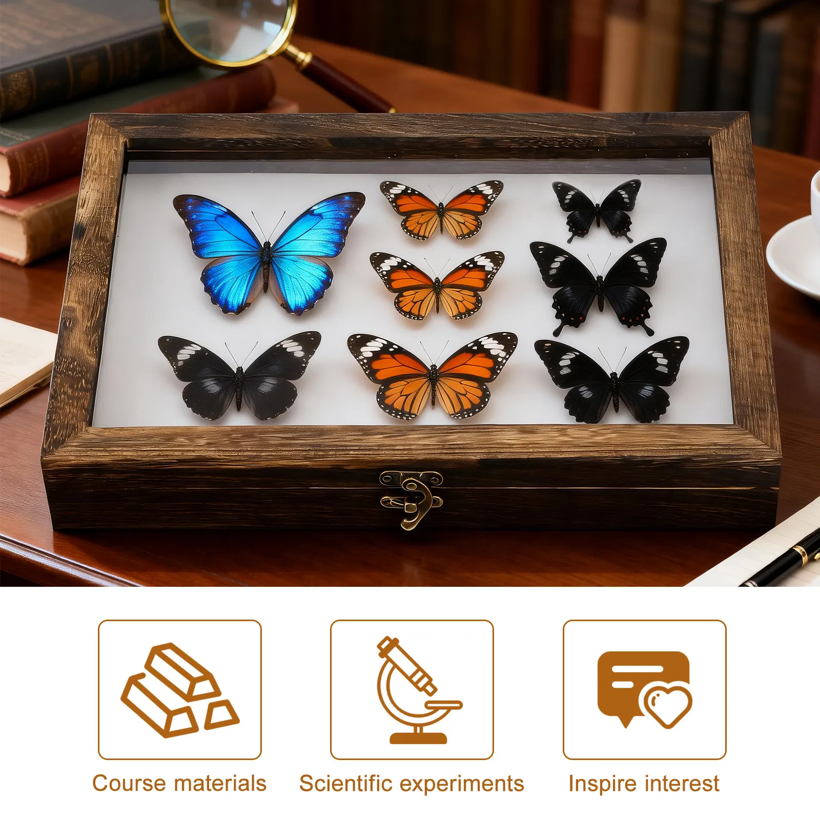 1 Set Präsentationsbox für Exe – Frame Display Wood Bewertung und Preis