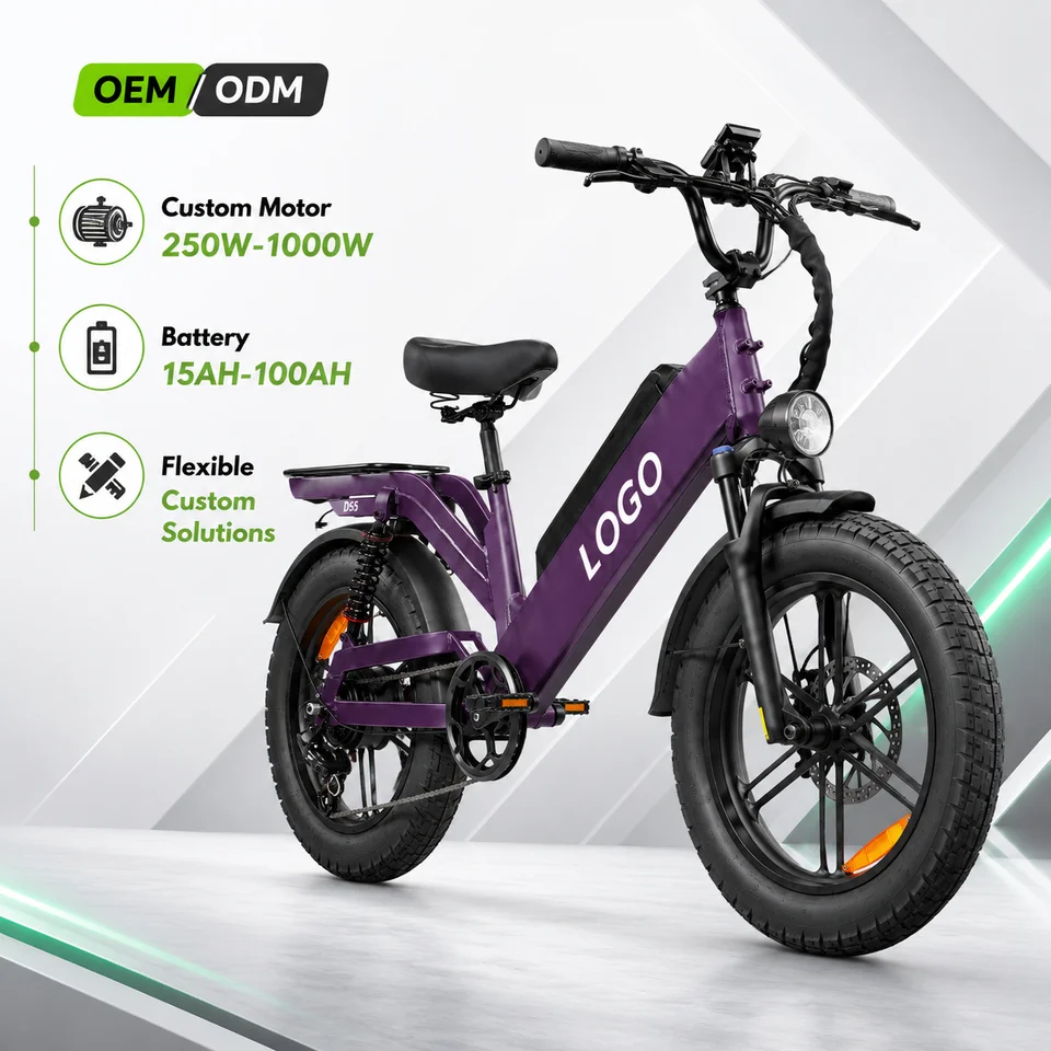 Custom D55 Electric Bike 20inch Fat Tire 48V 250W-1000W Aluminum Frame 7-Speed Full Suspension Disc Brake E-Bike
