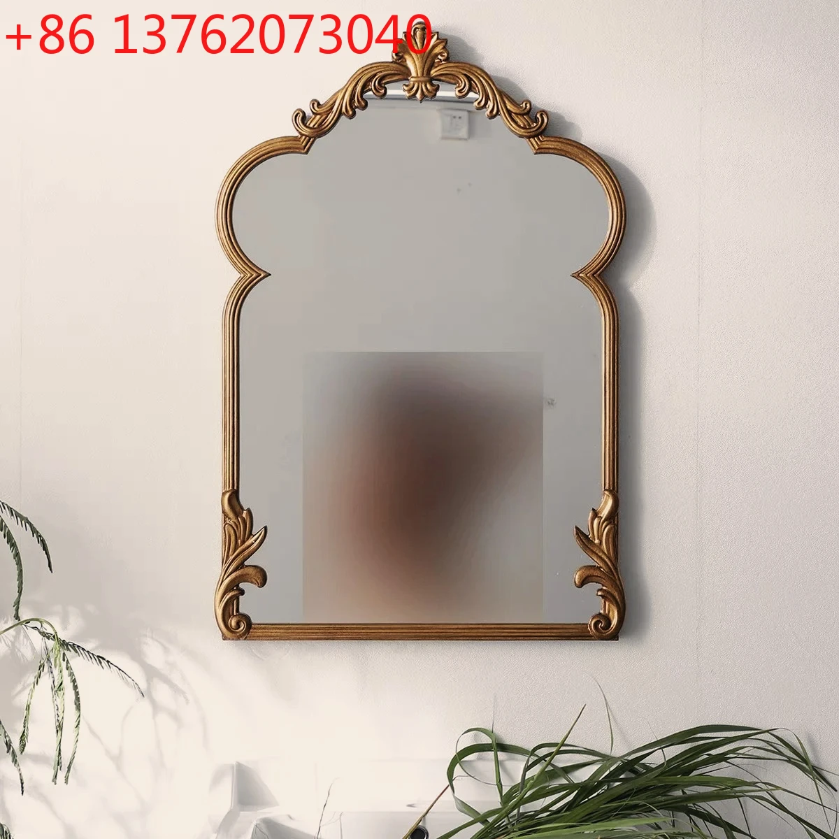 

European entrance special-shaped light luxury art mirror dining side decorative mirror American living room creative mirror
