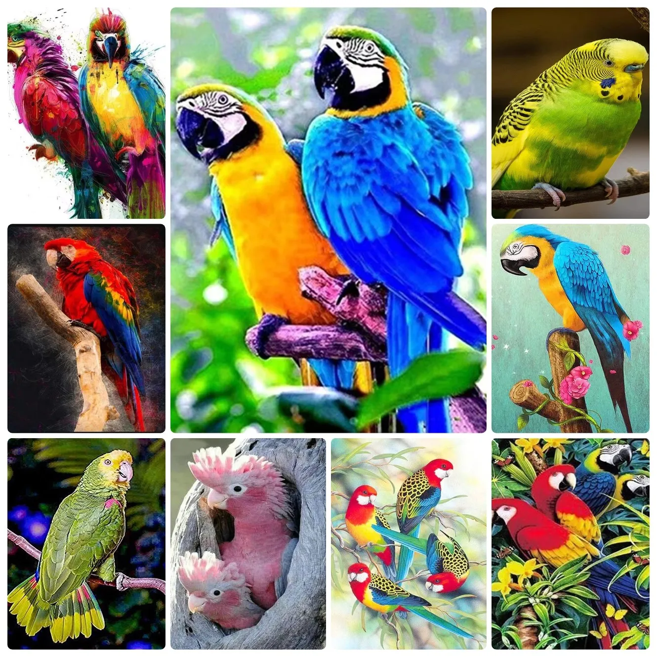 Puzzles animaux perroquets, décoration de la maison, jeux de puzzle pour adultes, puzzles amusants pour toute la famille, cadeau éducatif