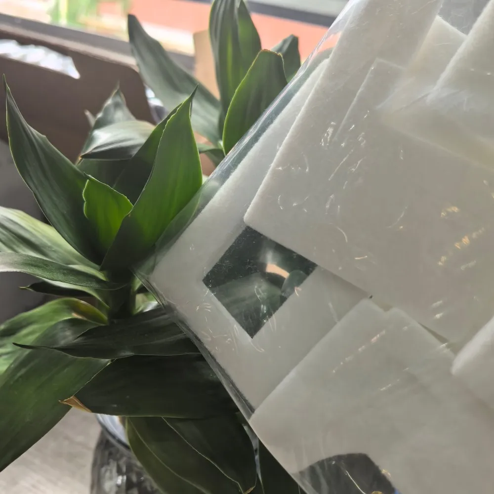 

10X MC-G02 Губка для резервуара для отработанных чернил для CANON G1020 G2020 G3020 G3060 G1220 G2160 G2260 G3160 G3260 G540 G550 G570 G620 G640 G650