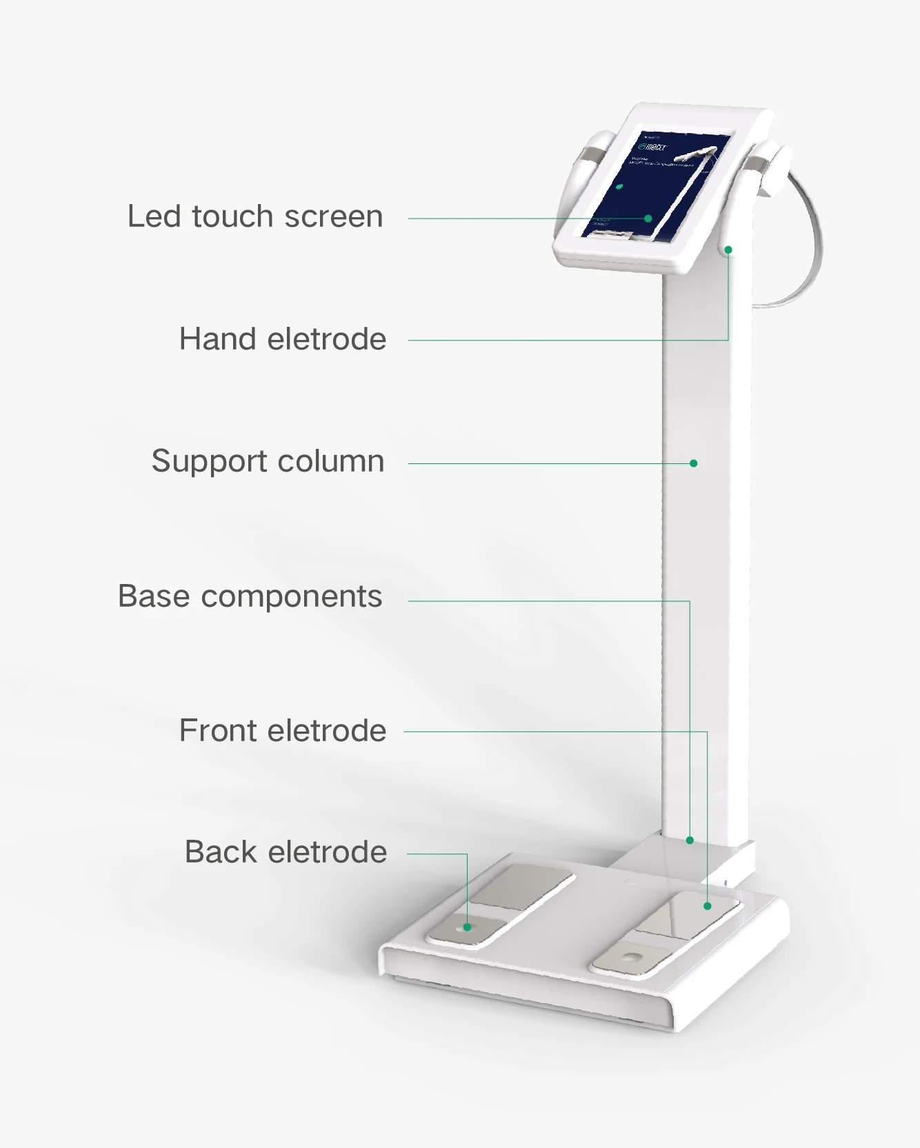 Portable Professional Fixed Full Body Health Digital  Bioelectrical Impedance Analysis for Machine Composition  Scale