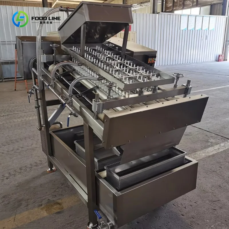 All in One Shrimp Washing Peeling Deveining Machine High Efficiency for Fresh Frozen Processing Line Custom