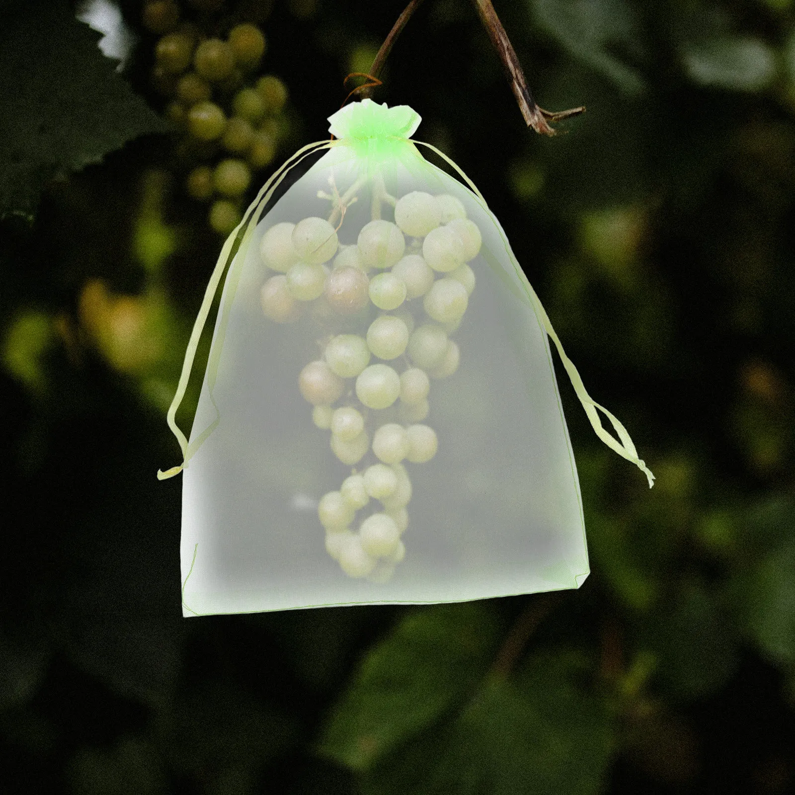 30 stuks Tuinnet Vogelnet Frui - Mesh Net Bag recensie en prijs