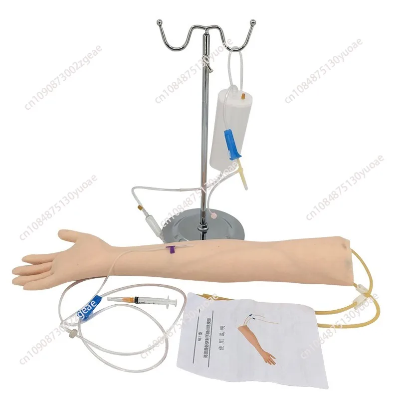 Advanced arm Anatomical Phlebotomy Venipuncture Practice Model anatomyInjection practice Medical Simulator Nurse Training kit