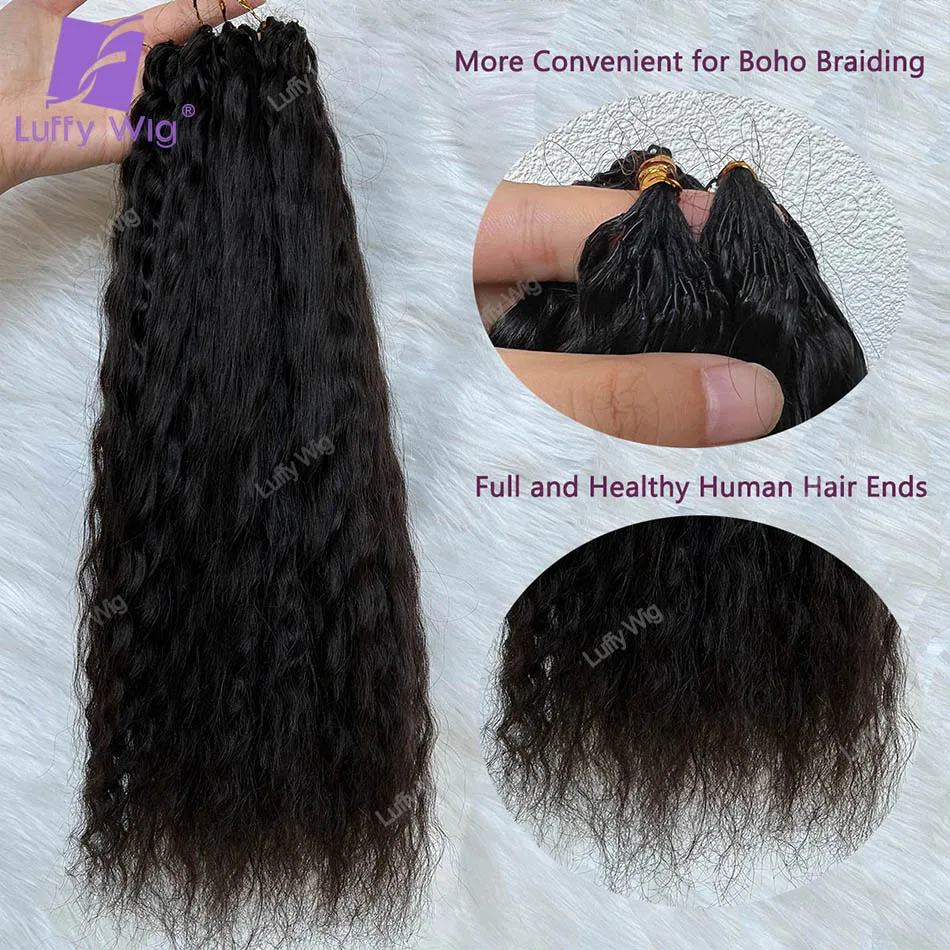 Wet and Wavy Feather Human Hair Braids Extensions for Boho Braiding Pre Separated Burmese Remy Crochet Human Hair Bundles Luffy
