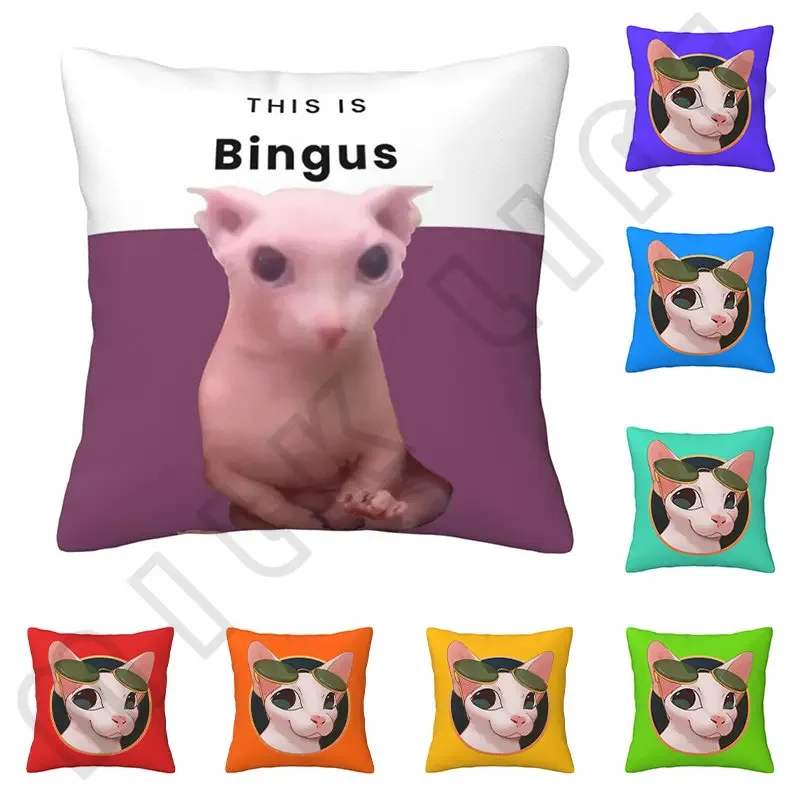 This Is Bingus Pillowcase Soft Polyester Cushion Cover Gift Fashion Cute Sphynx Throw Pillow Case Cover Bedroom Square 45X45cm