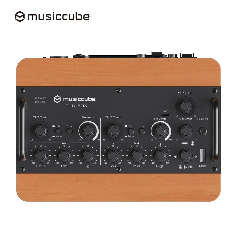 Musiccube D2MAX Factory OEM Guitar Amplifier Professional 4 Inch 100W Bass Amplifier Speaker Sound Equipment for KTV Stage