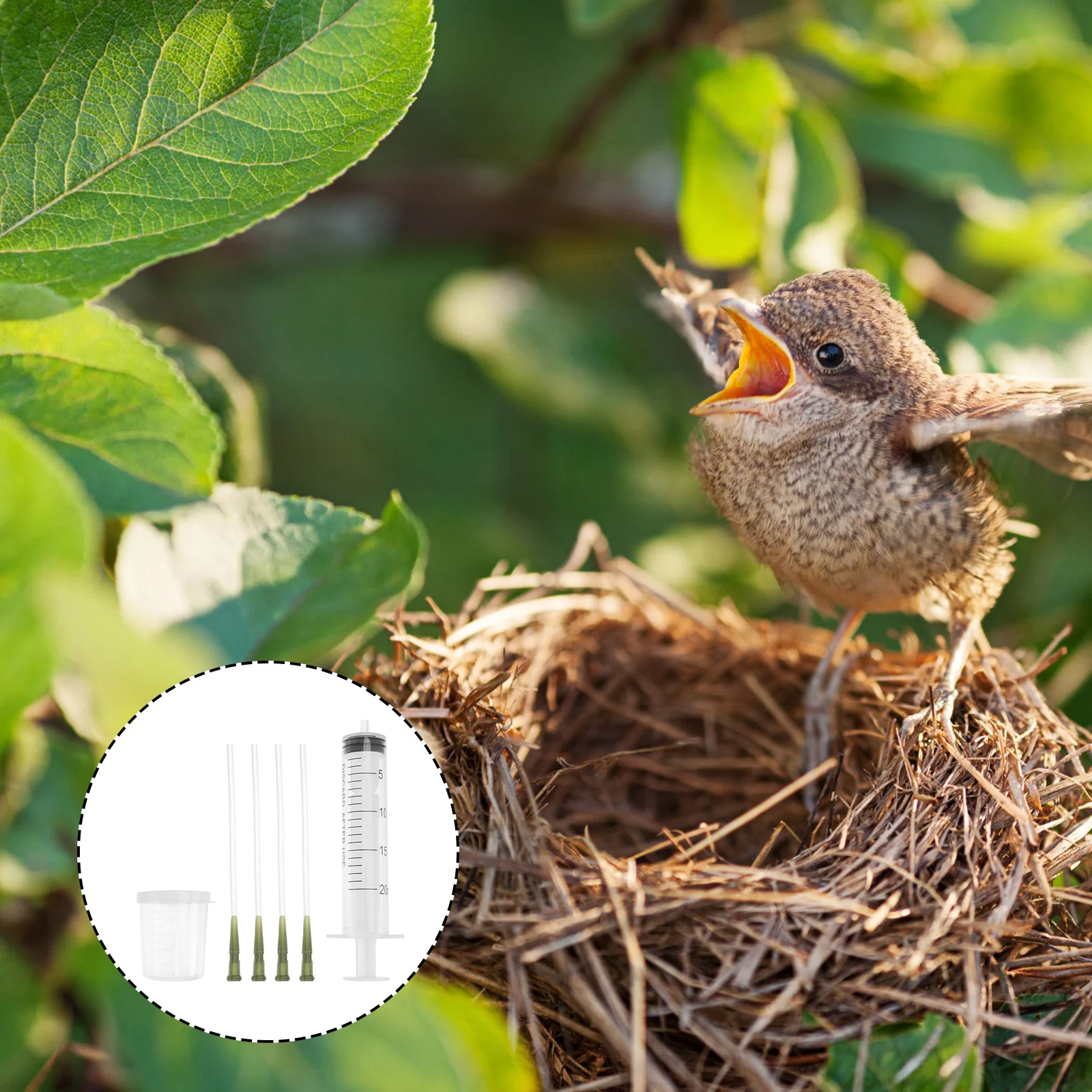 

Feeder for Bird Feeding Cup Nursery Scale Birds Hose Parrot Milk Pet Supply