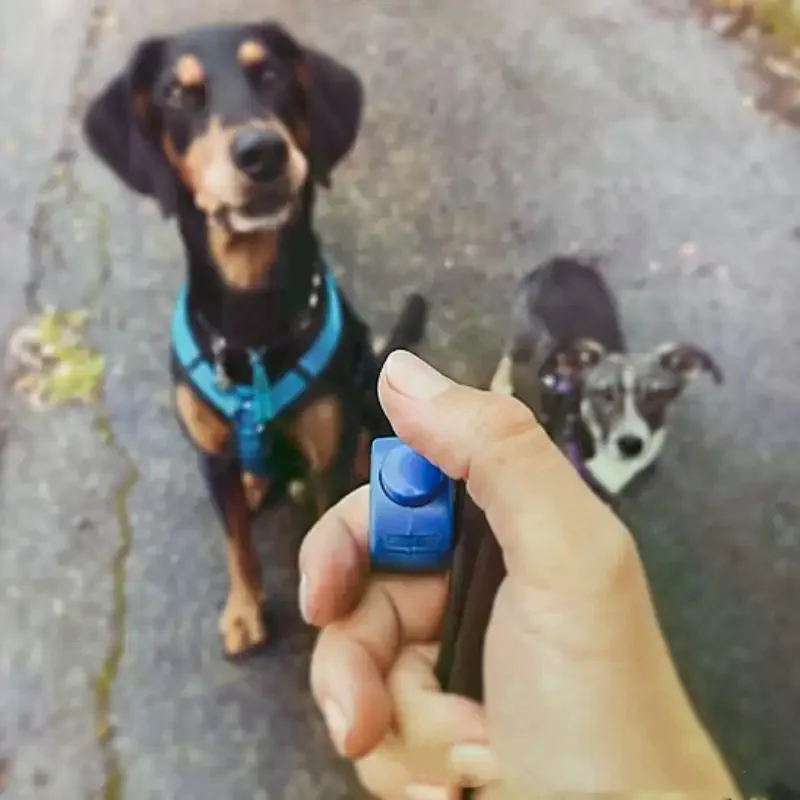 Picture 6: 1pc Plastic  Ring Clicker Pet Mini Finger Clicker Training Equipment Obedience Rattle Trainer Clicker Training Rattle Pet Suppli