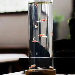 Japanese Style Originality Bedroom Aquariums Designer Living Room Ornament Designer Aquariums Modern Pet Products Fishbowl HBHD