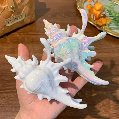 Seashell Acrylic Shark Clip