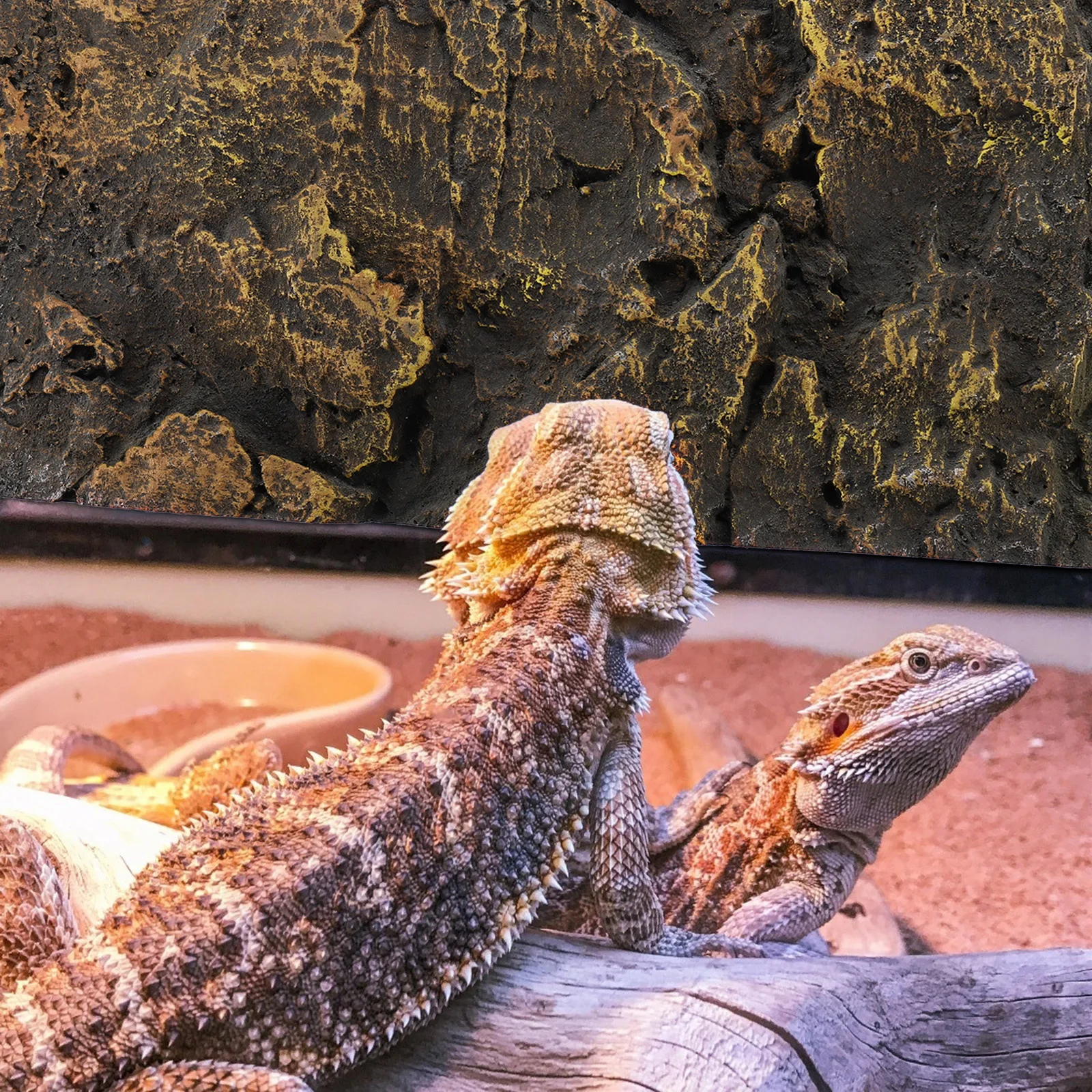 

1Pcs Durable PU Reptile Tank Background Board 3D Decorative Plate Turtle Tank Stylish Scenery Decoration Fade Resistant