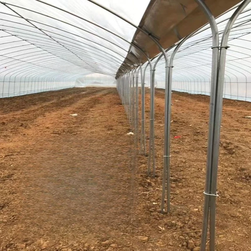 โครงสร้างโครงกระดูกเรือนกระจกการเกษตรขนาดใหญ่ที่มีประสิทธิภาพพืชเรือนกระจกชั้นเดียวปลูกเหล็กวัสดุอลูมิเนียม
