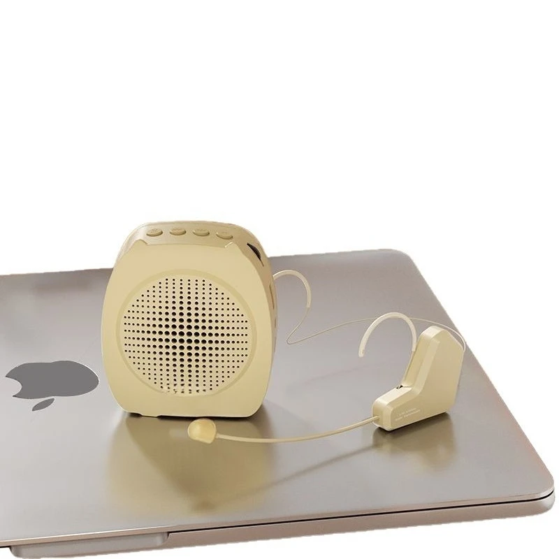 Wireless microphone little bee loudspeaker class