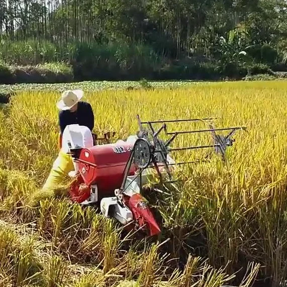 

Rice Mini Combine Harvester Moissonneuse Riz Cosechadora De Arroz Grain Harvesting Machine Wheat Harvesters for Rice and Wheat