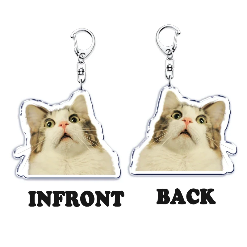Cute Fun Bread Cat Funny Meme Key Chain Keychains Ring for Accessories Bag Pendant Keyring Jewelry Fans Love Gifts