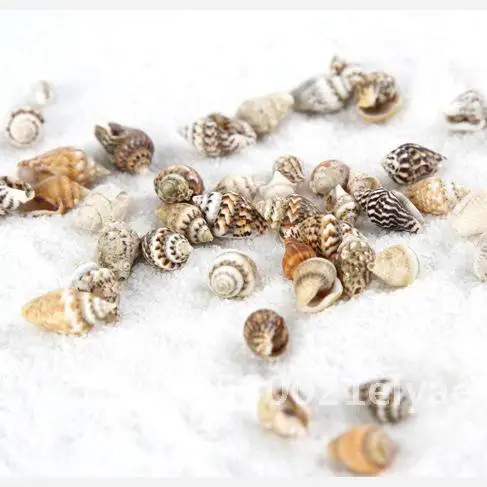 

DIY Moss Micro Landscape Jewelry Small Shell Conch Decorations Bionic Style Cartoon Assembly Ornament Toy with Plug-in Feature