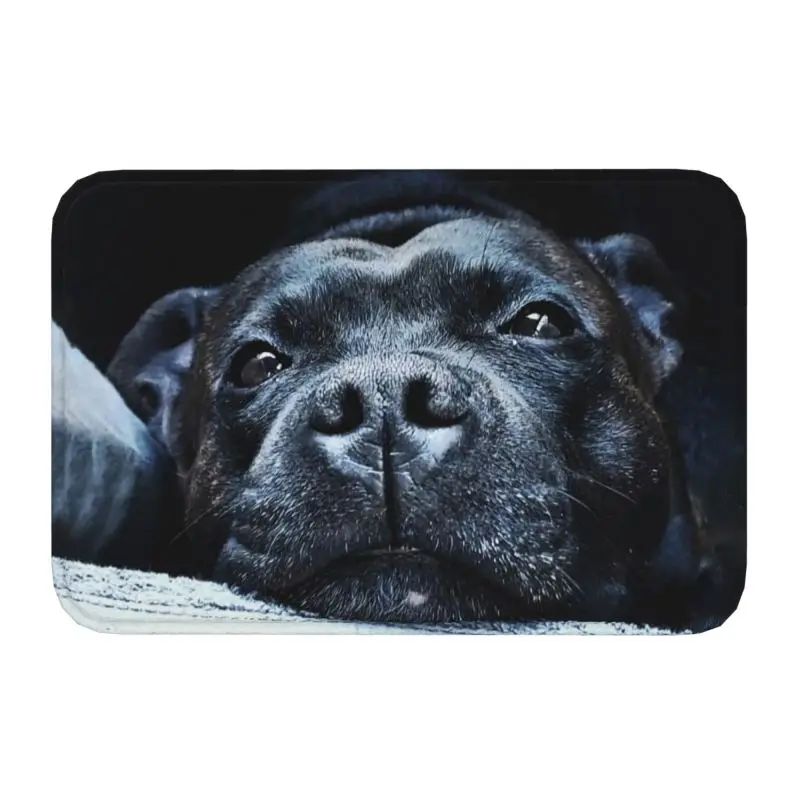 Staffordshire Bull Terrier Doormat Anti-Slip Entrance Bathroom Kitchen Cute Dog Door Floor Mat Bedroom Balcony Carpet Rug