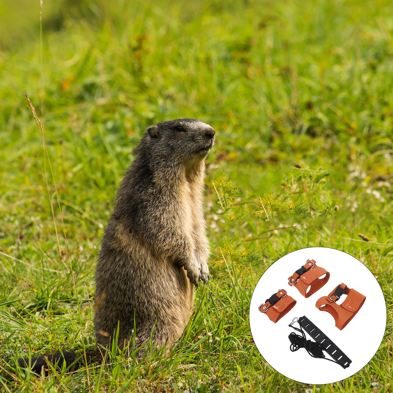 

Pet Vest Harness for Squirrel Rat Ferret Chinchilla Hamster - Soft Adjustable Small Animal Leash Set with Chew-Resistant