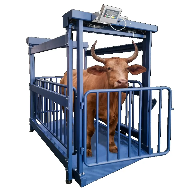 مقياس وزن الماشية من الفولاذ الثقيل مع مؤشر شاشة LED مدعوم OEM وODM