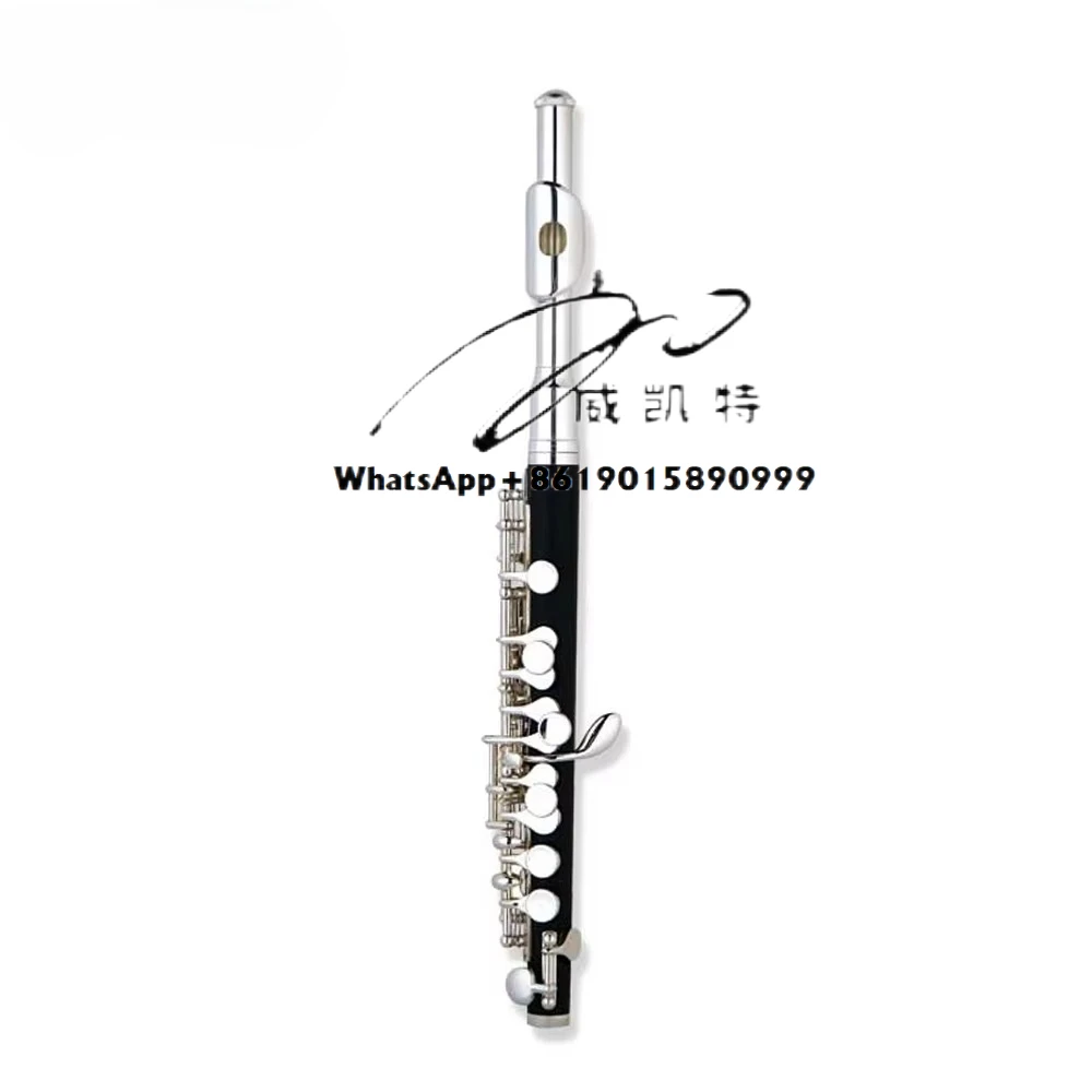 

AileenMusic High Grade ABS Body Solid Silver Piccolo (PC-H6400S)