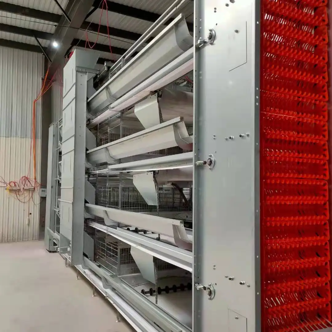 

Commercial H Type Layer Chicken Cage, Automated Poultry Battery Cage For Laying Hens