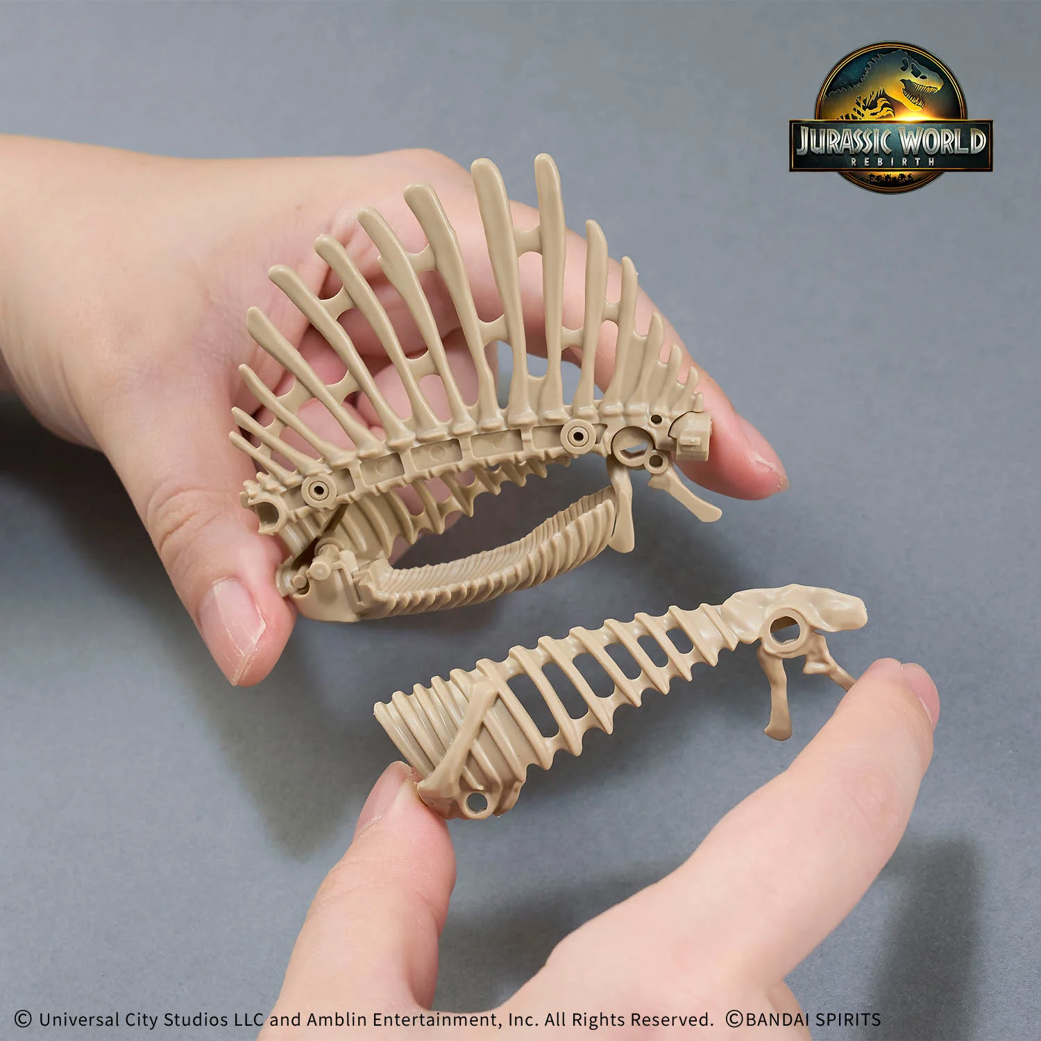 Bandai Genuine Original PLANNOSAURUS Model Kit In Stock Anime Figure JURASSIC WORLD Spinosaurus Assembly Model Toys Boys Gifts