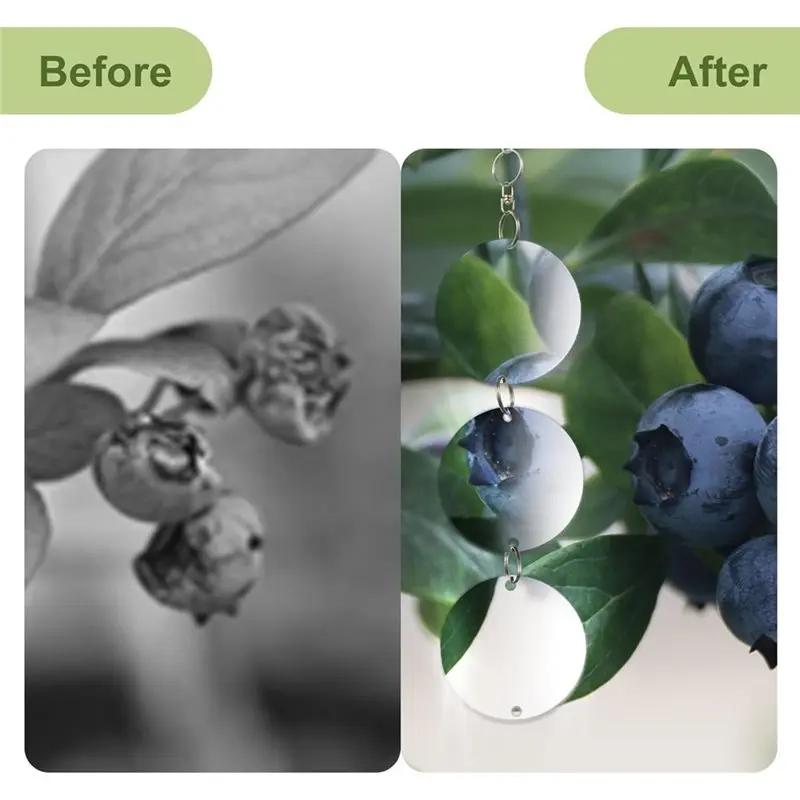 A93Z Bird Repelling Disc 36Pcs Bird Proof Mirror Reflective Disc, Woodpecker Bird Protection