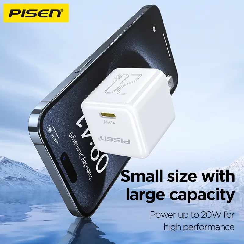 Pisen 20W USB-C Fast Charging Cable, 1m, Type-C to Type-C