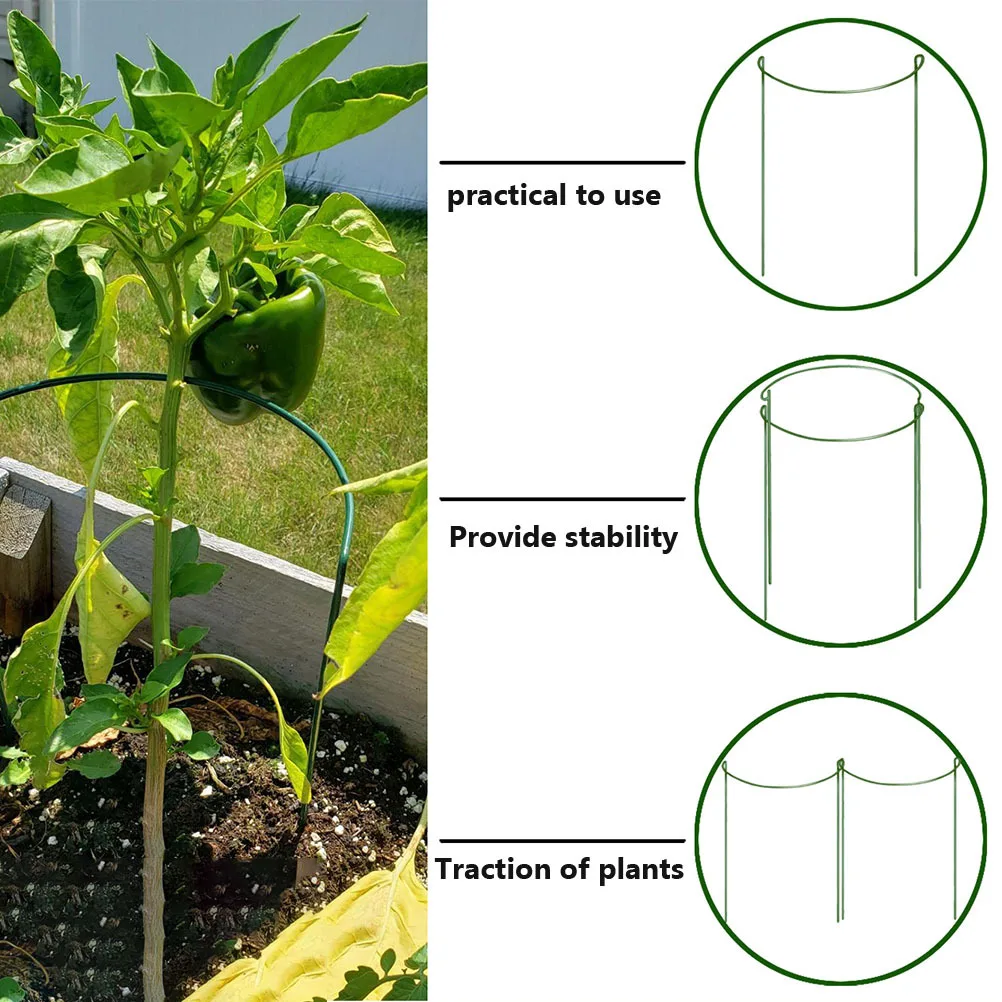 4 قطعة إطار دعم النبات نصف دائري دائم حديقة تعريشة بوعاء زهرة تسلق قفص النبات دعم لزنبق الطماطم Clematis